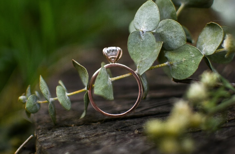 A rose gold engagement ring balanced on a eucalyptus branch against a natural, earthy background
