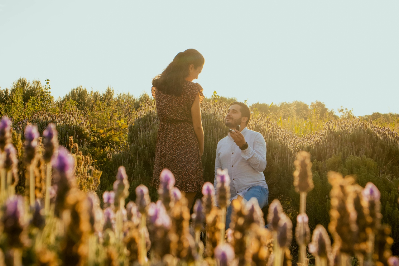 a man proposing to a woman in a dress in a field of flowers