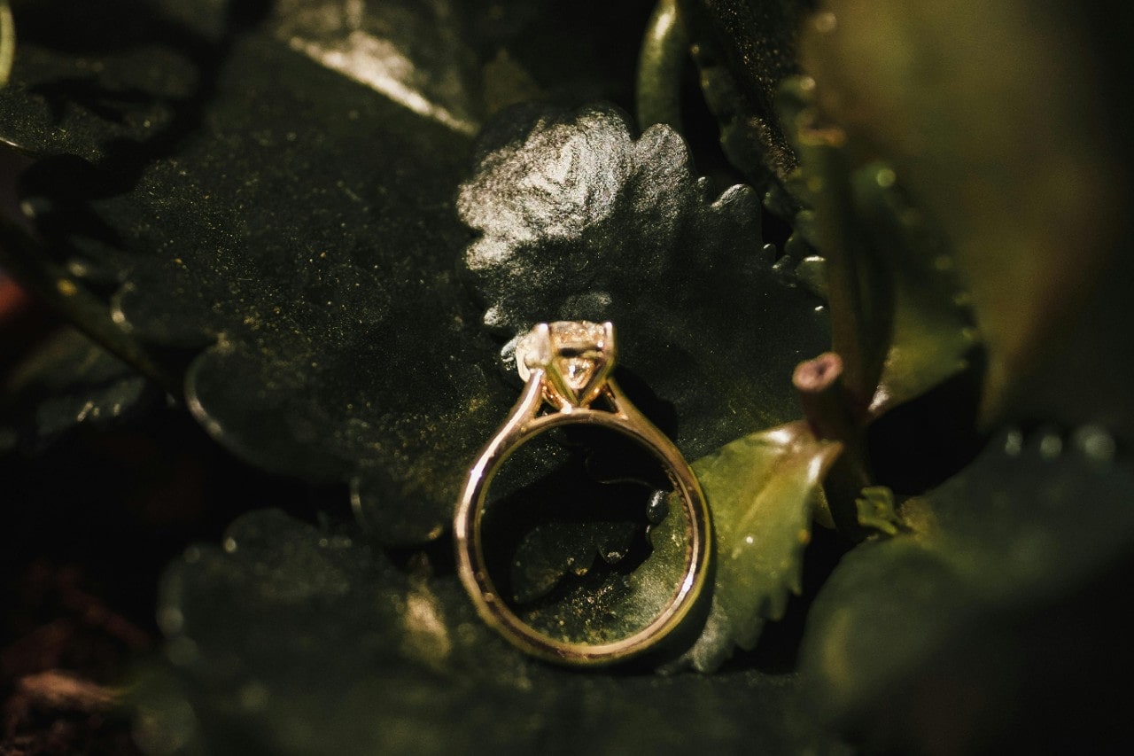 A yellow gold diamond solitaire engagement ring resting on a bed of green leaves.