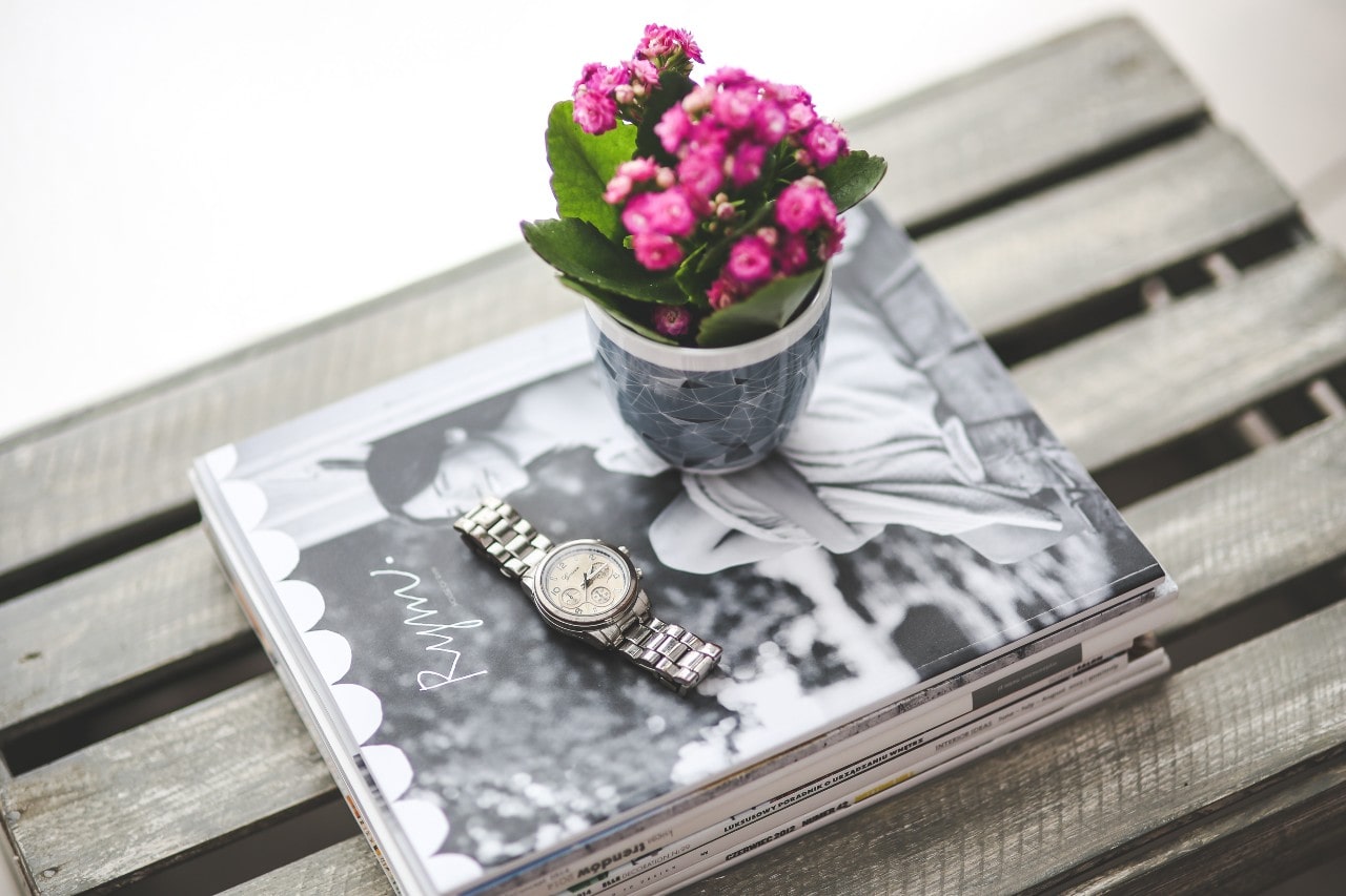 A flower pot and a platinum watch sits on a photo album on a bench.